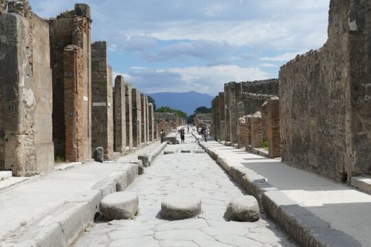 Daily Private Tour in Pompei from Rome