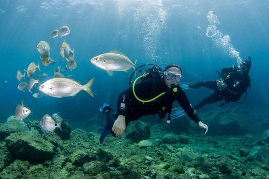 Discover Scuba Diving in Puerto de Mogan