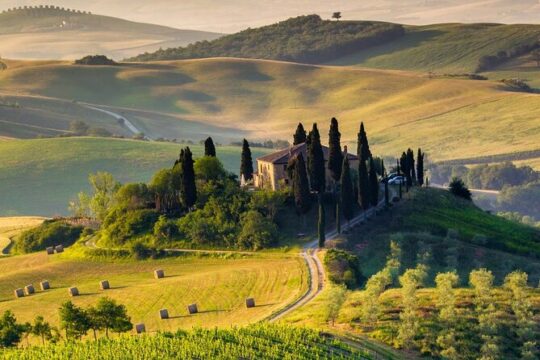 Montepulciano Noble Wines tour in Tuscany from Rome