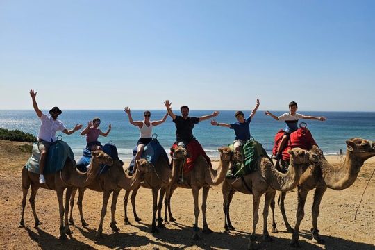 Morocco Express: Private Tour Tangier from Seville AllInclusive