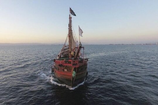 Night Dinner & Extraordinary Pirate Show from Puerto Vallarta