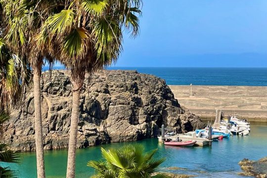 Fuerteventura: Guided island GRAND group TOUR max 8 people