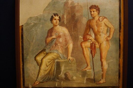 Pompeii and Herculaneum Skip-The-Line with Lunch&WineTasting Fullday from Rome