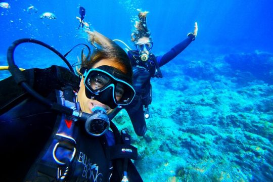 Underwater sightseeing - individual dive trip under Tenerife