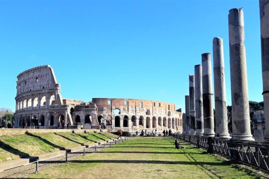 Rome from Port Private Tour: Colosseum & Vatican, Lunch and De-lux Car included