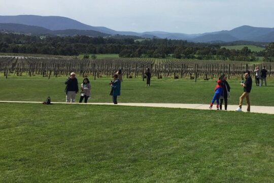 Private Yarra Valley Wine Tour