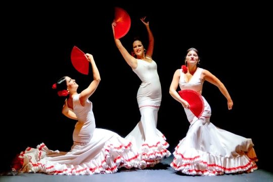 Live Flamenco Show in Seville