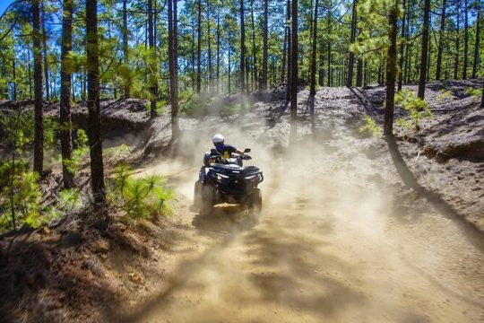 Off-Road Quad Tour from Woodlands to Volcanic Heights