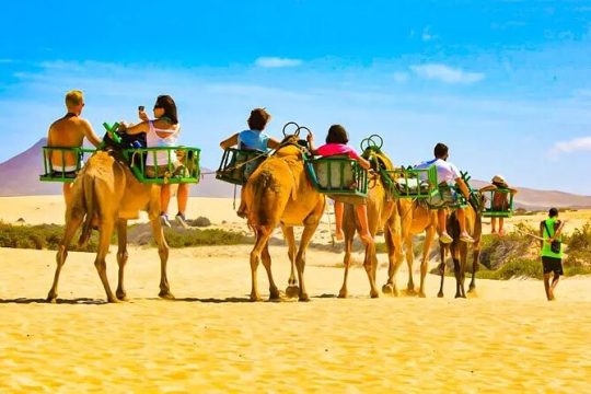 E-Bike City Tour optional Camel Safari on the Maspalomas Dunes