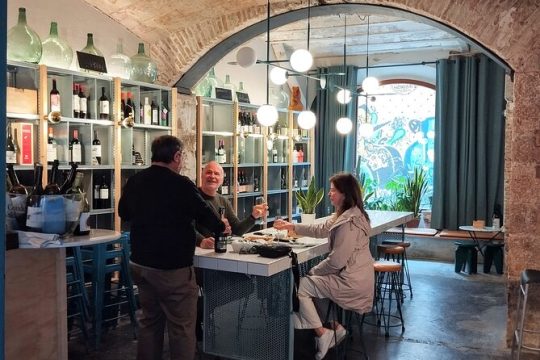 Private Spanish Wine and Cava tasting in Barcelona