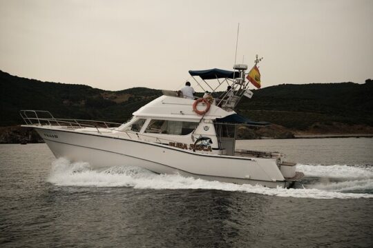 Private Tour with Dolphin Watching in Algeciras Bay