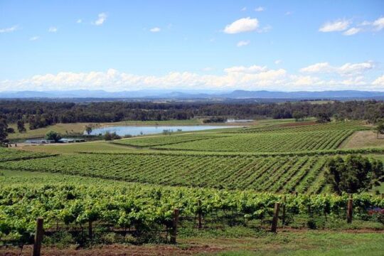 Private Hunter Valley Wine-Tasting Day Tour from Sydney
