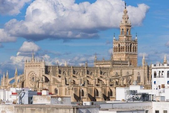Private Walking Tour: The essential of Seville