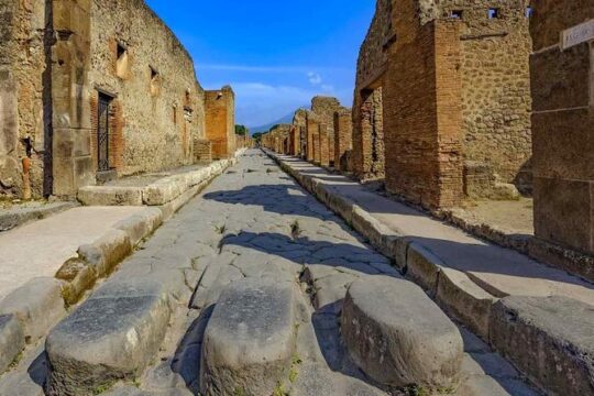 Pompeii, Sorrento and Amalfi Coast with Driver - Private Day Trip from Rome