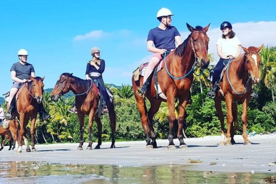 Afternoon Beach Horse Ride in Cape Tribulation