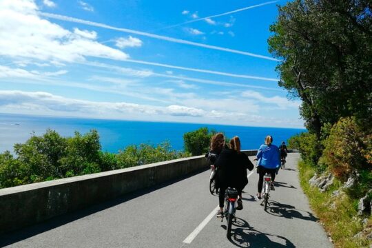 Fantastic Villefranche's Bay & Cap-Ferrat E-Bike Tour from Nice