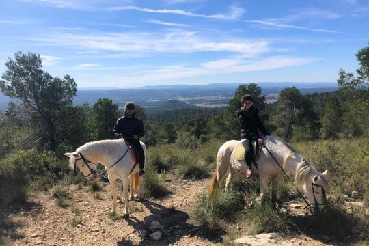 Horseback riding and wine tour