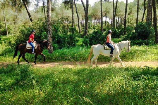 Horse Riding Excursion from Seville