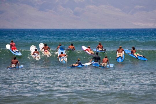 Surf tour and lesson