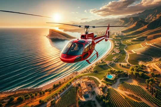 Private Helicopter Winery Tour