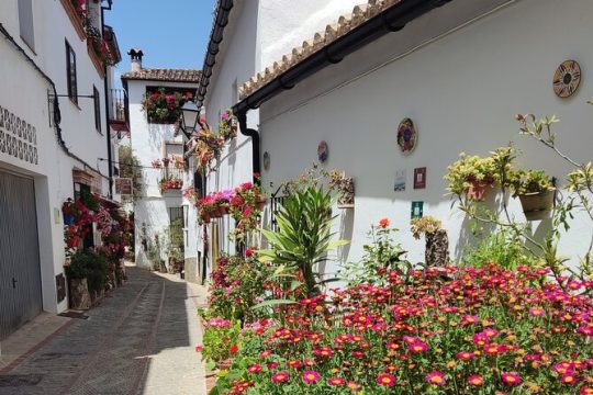 Private half-day tour of Ronda and the White Villages with native