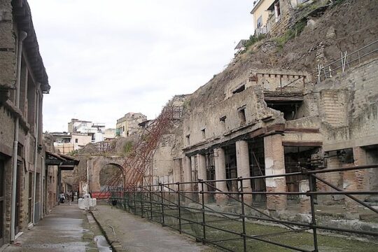 Private Herculaneum and Archaeological Museum Tour from Rome