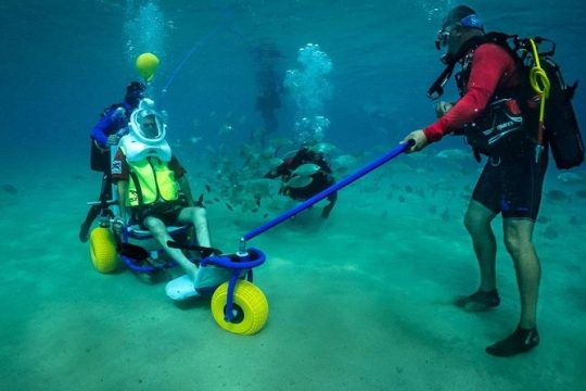 Sea Trek and Diving for handicaped people