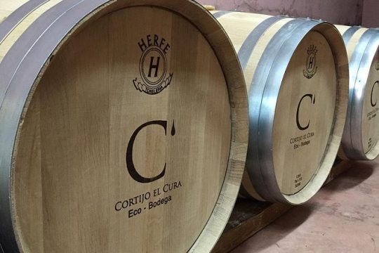 Almería Visit to Eco Winery Cortijo El Cura and wine tasting