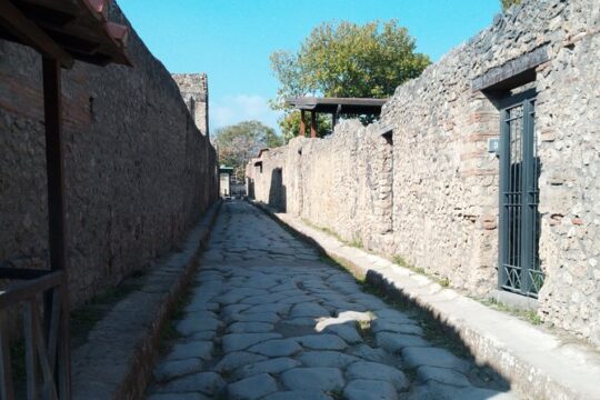 Sorrento and Pompeii tour from Rome SkipTheLine Tickets included