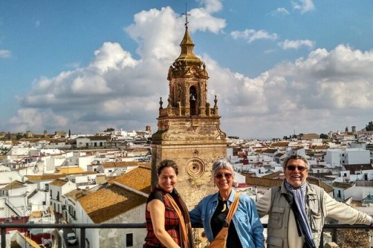 Private trip to Carmona from Seville: 5000 years of history
