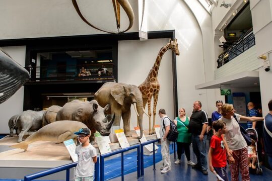 London Natural History Museum Dinosaur Discovery Family Tour