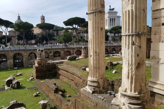 Tour in Rome, full day