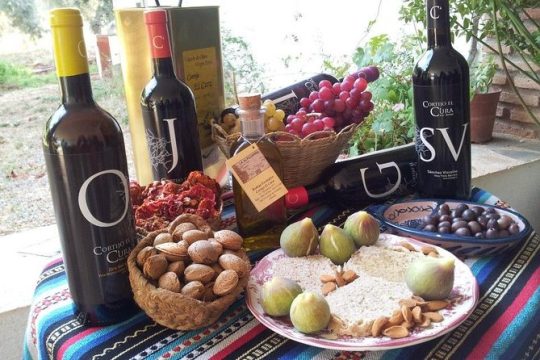 Almería Wine tour, tasting in Bio Winery and aperitif in English