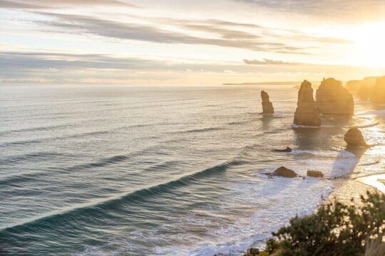 Great Ocean Road Sunset Tour with Dinner and Wildlife Park