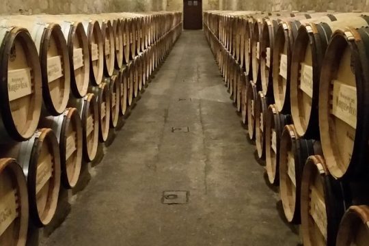 Luxury La Rioja Wineries Private Tour