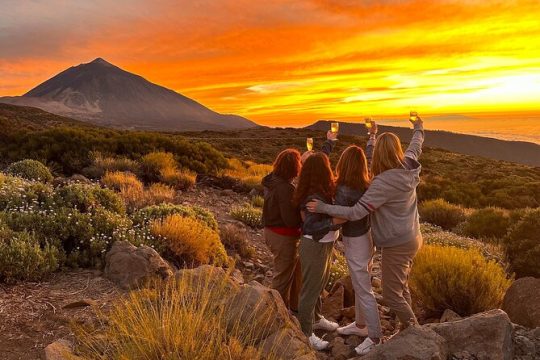 Professional stargazing with dinner on El Teide