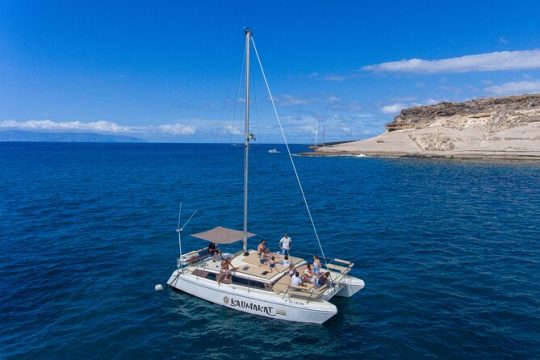 3-hour catamaran excursion along the Costa Adeje