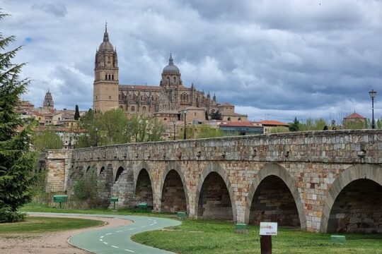 Salamanca and Avila Private Tour from Madrid with Hotel Pickup