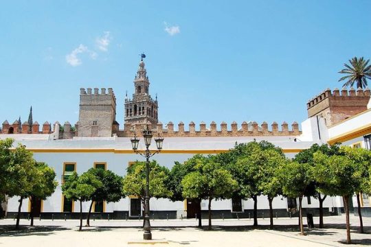 Private visit Alcázar and Cathedral of Seville