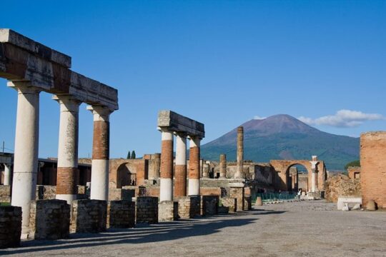 Private trasfert Pompei from Rome and tickets