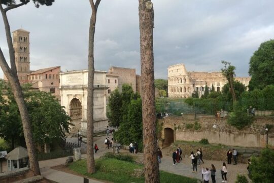 PRIVATE TOUR, with archaeologist: Colosseum, Palatine Hill, Roman Forum.