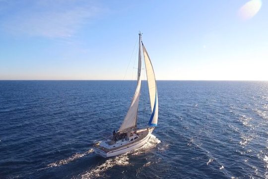 7-Hour Tour of the Beaches of Formentera on a Sailboat with Skipper