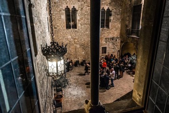 Requesens Palace Dinner Experience with Medieval Show