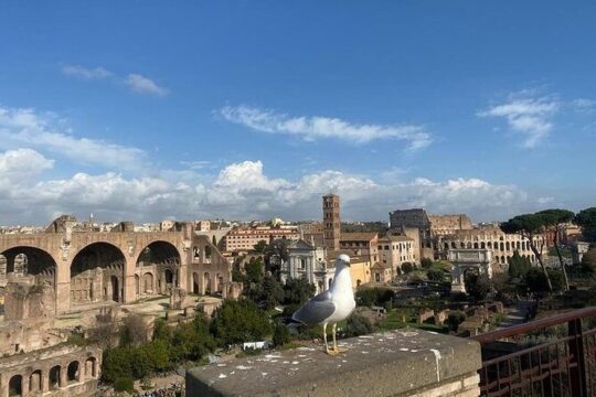 Colosseum Tour With Forum and Palatine Hill Access