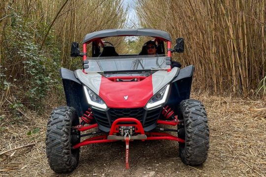 Jungle Buggy Tour at Costa Blanca