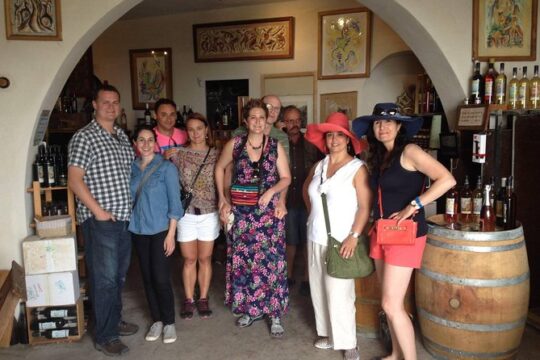 Provence Wine Small Group Day Tour from Nice with Tastings & Lunch
