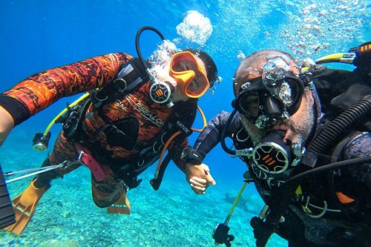 Discover Scuba Diving in Tenerife