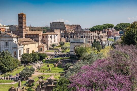Private Rome in a Day Tour with Colosseum & Sistine Chapel: Essential Experience