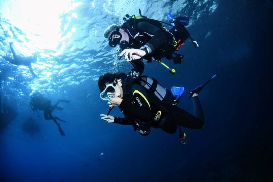 L'estartit: Try diving in the Montgrí Natural Park 20min