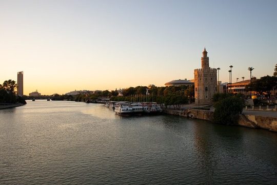 Private tour One day in Seville